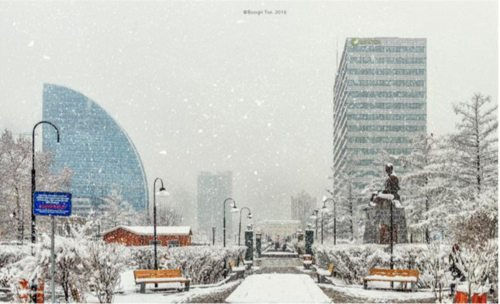 Улаанбаатарт өнөөдөр зөөлөн цасан шуургатай